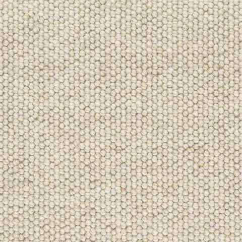 Coastal Dune carpet swatch